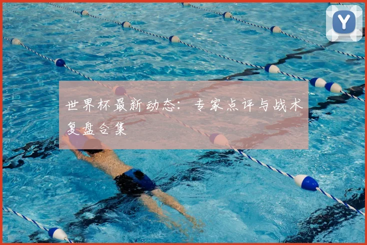 世界杯最新动态：专家点评与战术复盘合集
