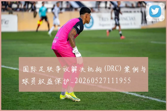 国际足联争议解决机构(DRC)案例与球员权益保护_20260527111955