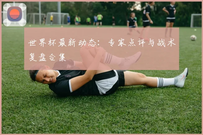 世界杯最新动态:专家点评与战术复盘合集
